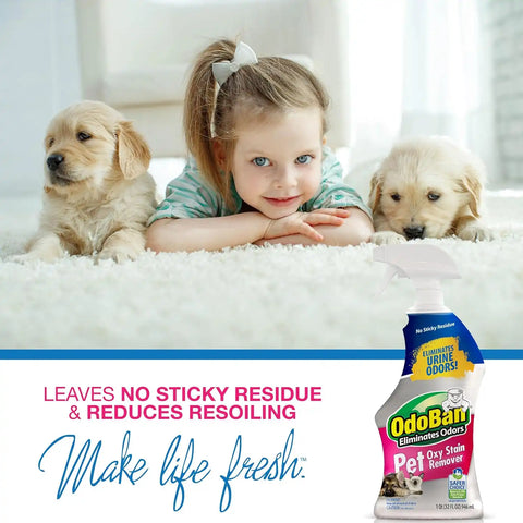 OdoBan Pet Solutions Oxy Stain Remover, Pet Stain Eliminator, Made in the USA, 6-Pack, 32 Ounce Spray Each