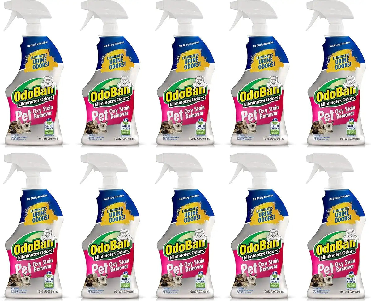 OdoBan Pet Solutions Oxy Stain Remover, Pet Stain Eliminator, Made in the USA, 10-Pack, 32 Ounce Spray Each
