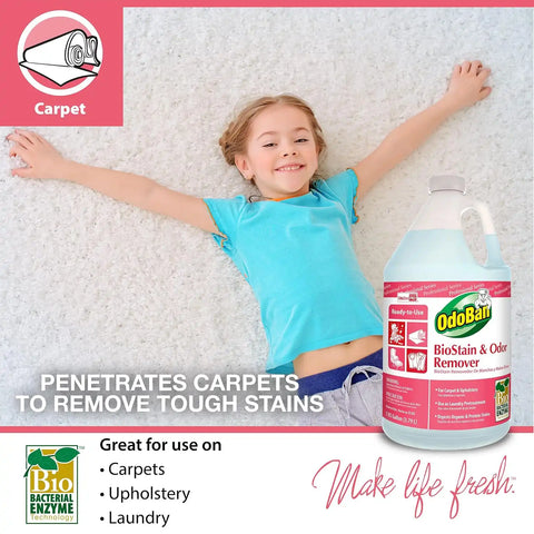 OdoBan Professional Cleaning Neutral pH Floor Cleaner and BioStain and Odor Remover, Made in the USA, 1 Gallon Each