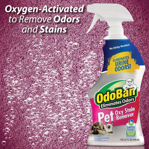 OdoBan Pet Solutions Oxy Stain Remover, Pet Stain Eliminator, Made in the USA, 6-Pack, 32 Ounce Spray Each